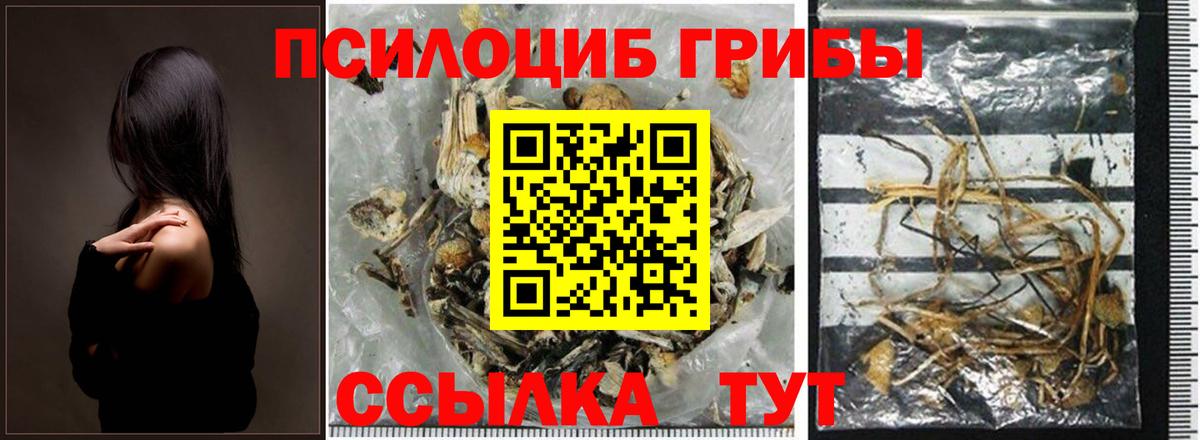 Псилоцибиновые грибы прущие грибы  Псилоцибиновые грибы Magic Shrooms  Волжск  Вход с VPN 